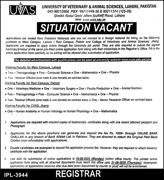 Jobs in University of Veterinary & Animal Sciences Lahore